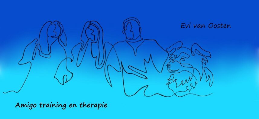 Amigo training en therapie